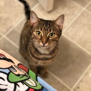 Meet your Posher, Dom